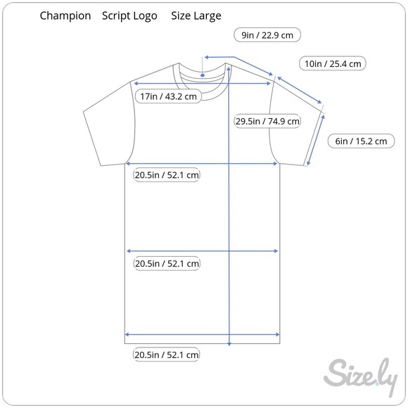 Champion Men's Vintage 90s Script Spell Out Logo Gray T-shirt Size Large - Picture 5 of 5